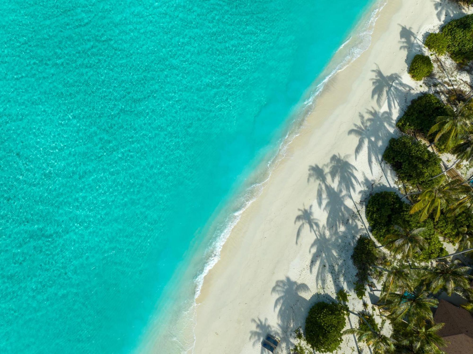 Avani Plus Fares Maldives Resort - 50 Percent Off On Seaplane Transfer For Minimum Stay Of 3 Nights And More For Stays Until 22 December 2025 Kendhoo Room photo